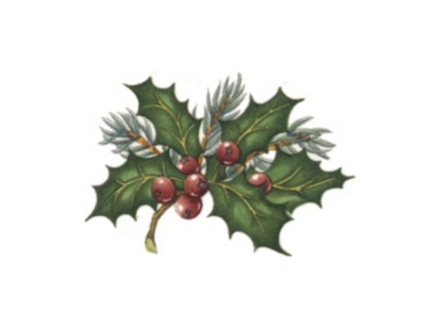 画像1: HOLLY (1)
