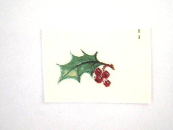 画像1: HOLLY BORDER (1)