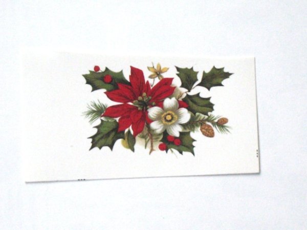 画像1: POINSETTIA (1)
