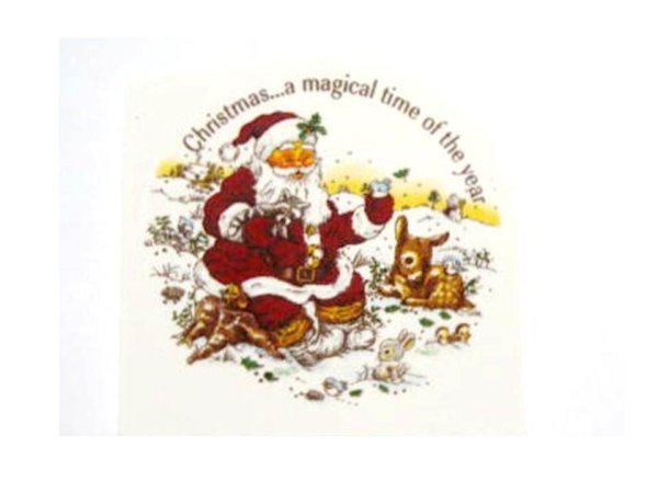 画像1: SANTA (1)