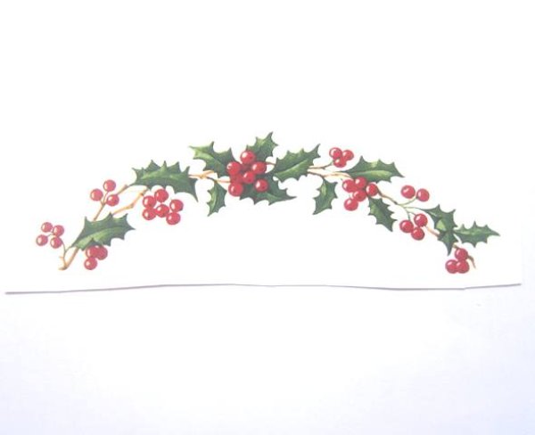 画像1: HOLLY BORDER (1)