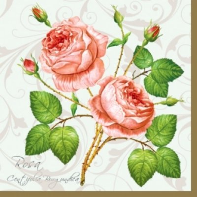 画像1: 【ナプキン】 two rosa Roses of white
