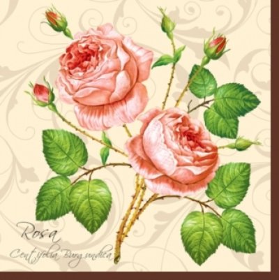 画像1: 【ナプキン】 two rosa Roses of crem/rose
