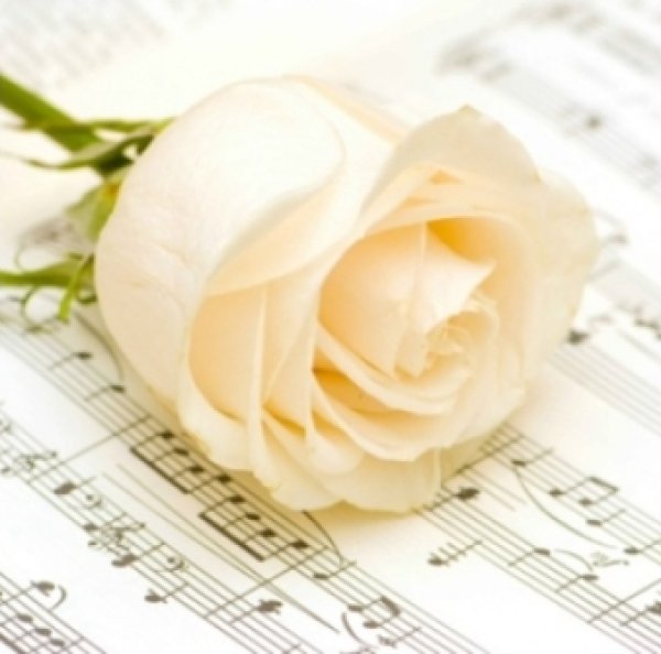 画像1: 【ナプキン】 Classic Rose (1)
