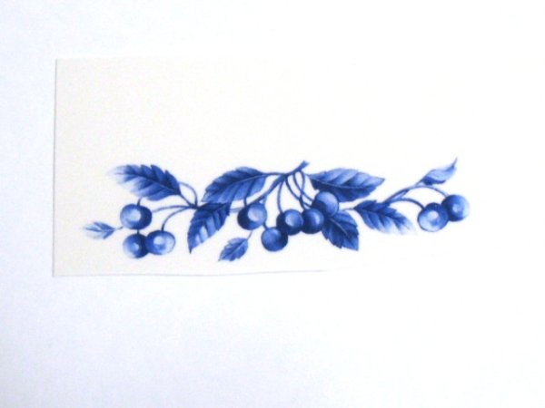 画像1: FRUITS BLEUS (1)