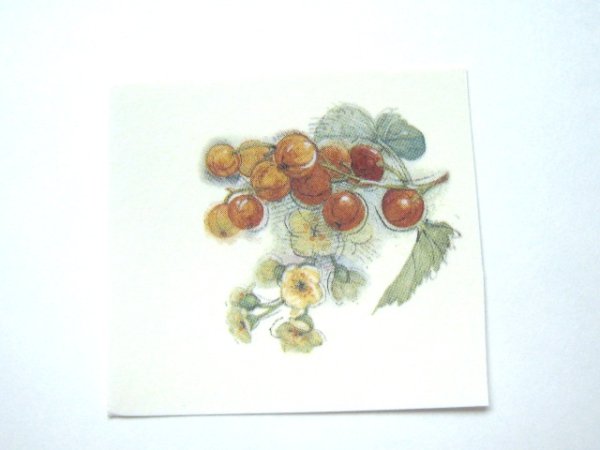 画像1: FRUTTI DI BOSCO (1)