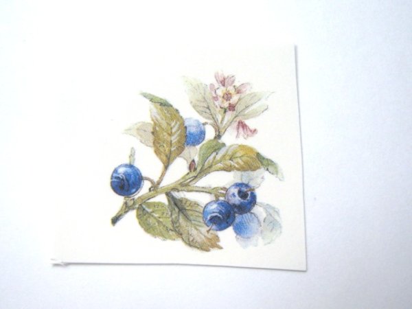 画像1: FRUTTI DI BOSCO (1)