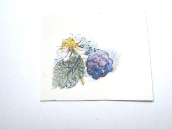 画像1: FRUTTI DI BOSCO (1)