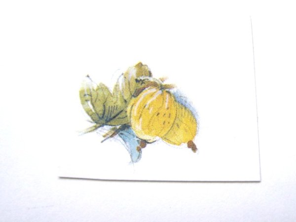 画像1: FRUTTI DI BOSCO (1)