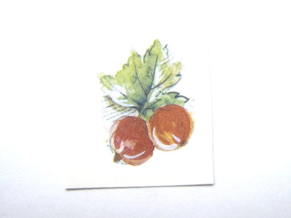 画像1: FRUTTI DI BOSCO (1)