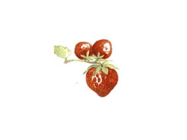 画像1: STRAWBERRY DELIGHT (1)