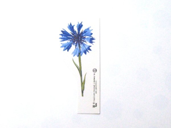 画像1: SINGLE FLOWER【ガラス用】 (1)