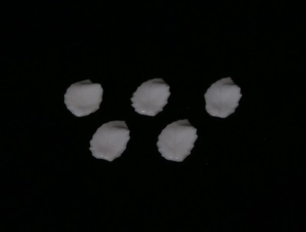 画像1: 薔薇の葉 (1)