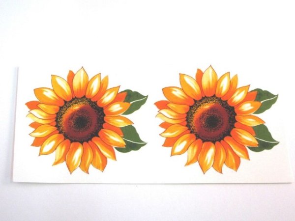 画像1: SUNFLOWER　2pcs (1)