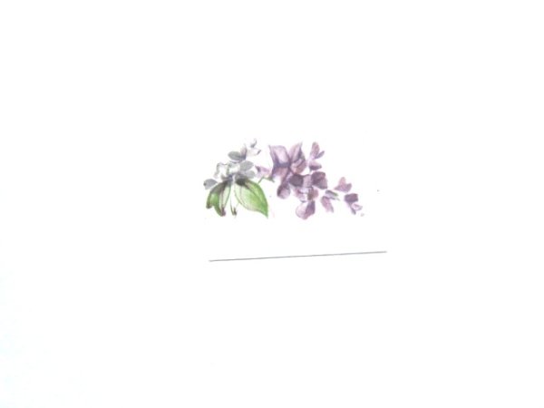 画像1: LILAC MIST (1)