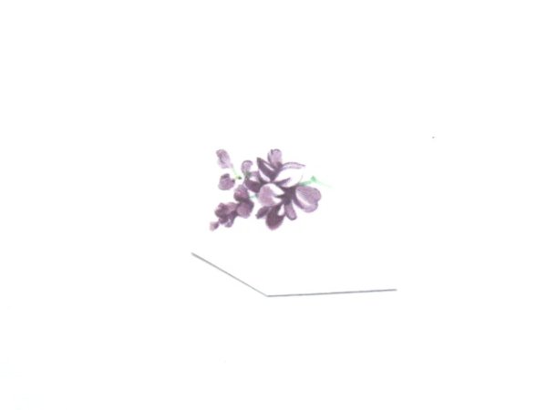 画像1: LILAC MIST (1)