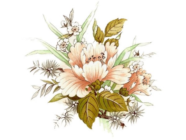 画像1: BROCADE (1)