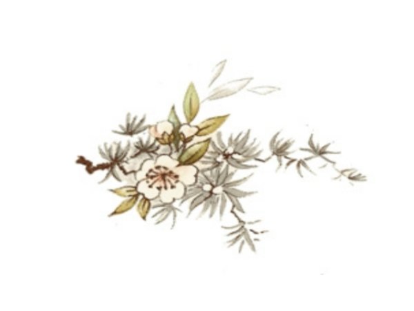 画像1: BROCADE (1)