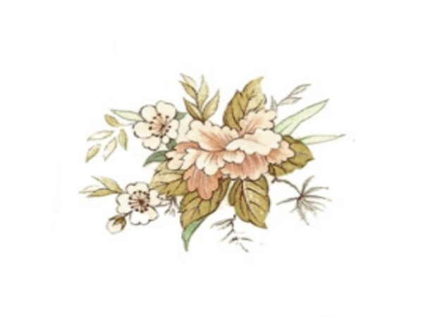 画像1: BROCADE (1)