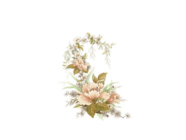 画像1: BROCADE (1)