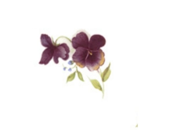 画像1: VIOLETS (1)