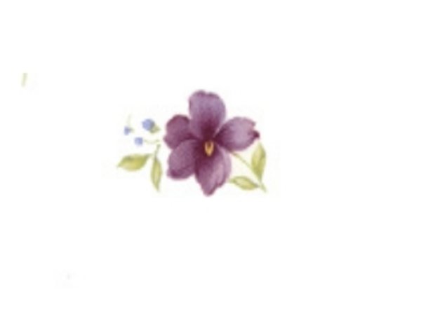 画像1: VIOLETS (1)