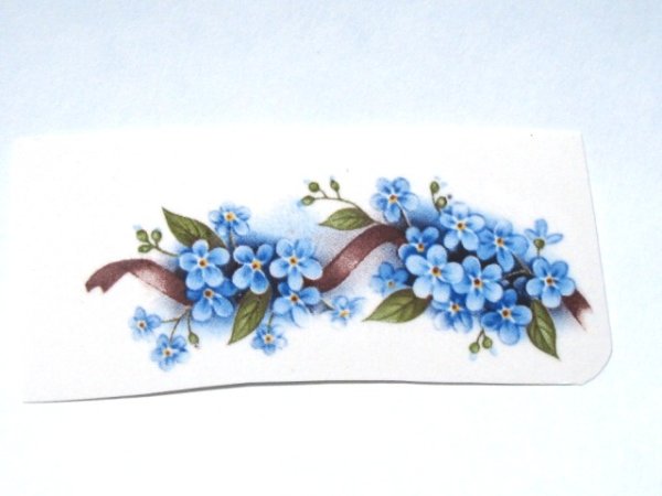 画像1: BLUE FORGET-ME-NOT (1)