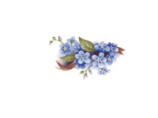 画像1: BLUE　FORGET-ME-NOT (1)