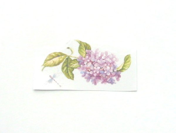 画像1: FLOWER (1)