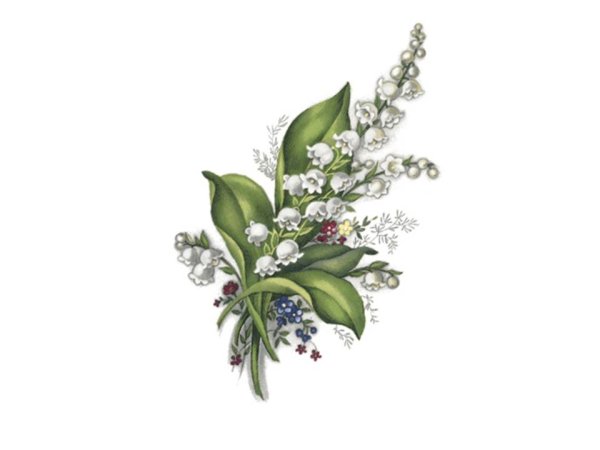 画像1: LILY OF THE VALLEY (1)