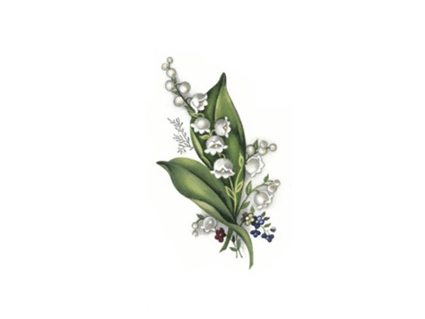 画像1: LILY OF THE VALLEY (1)