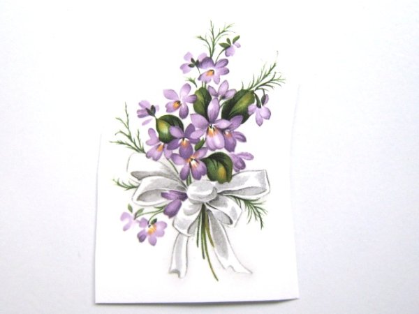 画像1: SWEET VIOLETS (1)