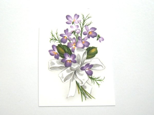 画像1: SWEET VIOLETS (1)