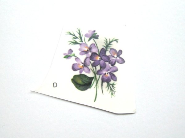 画像1: SWEET VIOLETS (1)