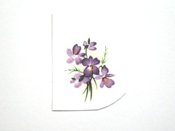 画像1: SWEET VIOLETS (1)