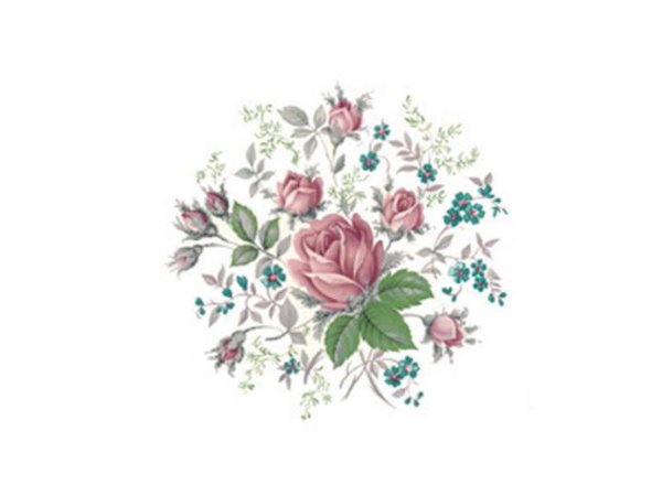 画像1: DUBARRY (1)