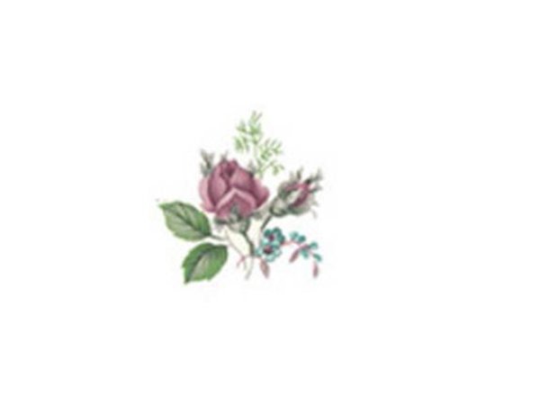 画像1: DUBARRY (1)