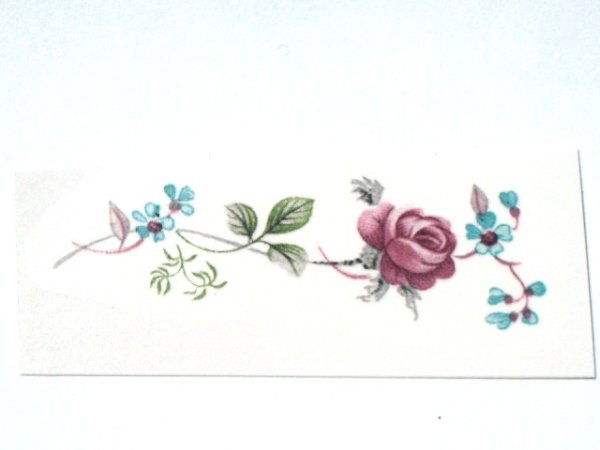 画像1: DUBARRY (1)