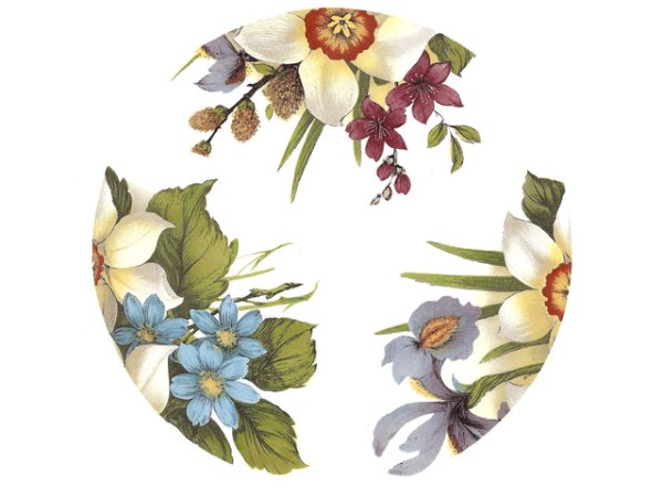 画像1: NARCISSUS SAUCERS (1)