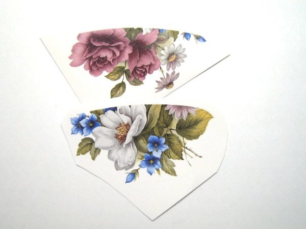 画像1: CAMELLIA CUPS (1)
