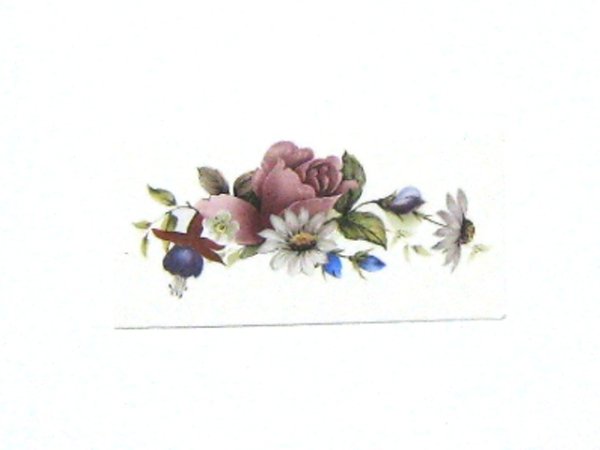 画像1: SUMMER (1)
