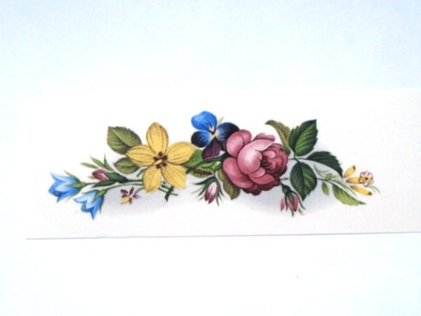 画像1: COTTAGE GARDEN (1)