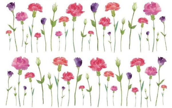 画像1: Carnation & Bell Flower (1)