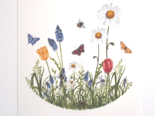 画像1: NATURE GARDEN (1)