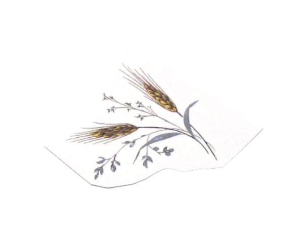 画像1: WHEAT (1)