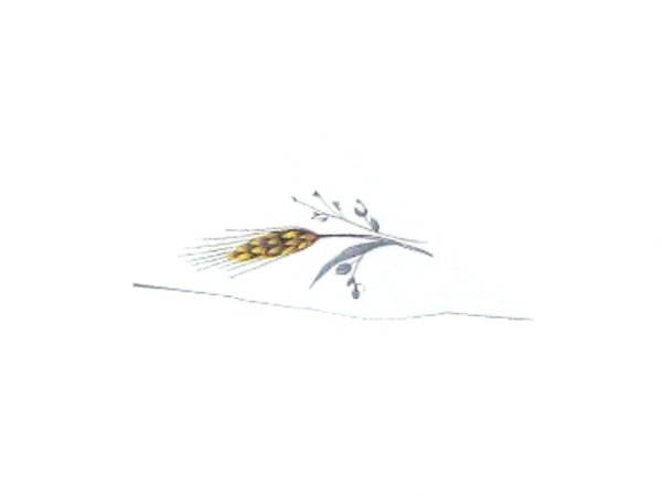画像1: WHEAT (1)