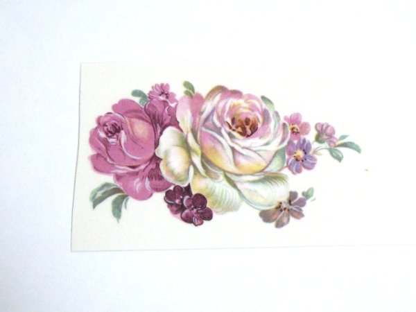 画像1: BOHEMIA (1)