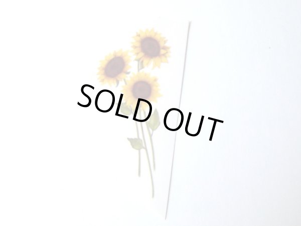 画像1: GIRASOLES (1)