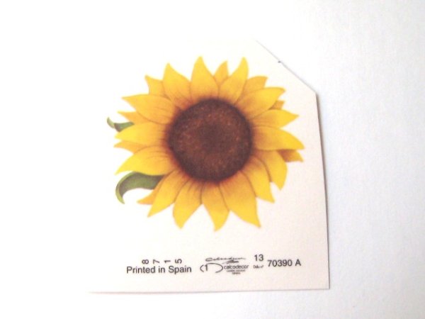 画像1: GIRASOLES (1)