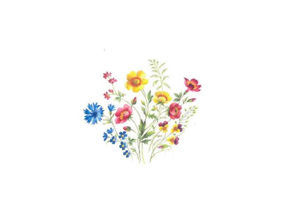 画像1: JURIA (1)